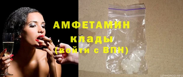 ГАЛЛЮЦИНОГЕННЫЕ ГРИБЫ Михайлов