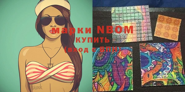 хмурый Янаул