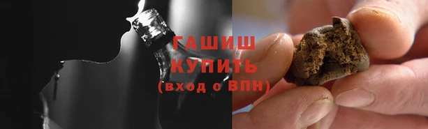 стаф Алзамай