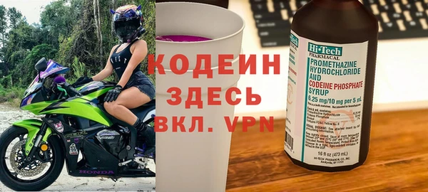 ГАЛЛЮЦИНОГЕННЫЕ ГРИБЫ Михайлов
