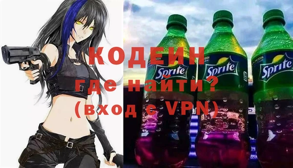 ГАЛЛЮЦИНОГЕННЫЕ ГРИБЫ Михайлов