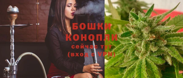ГАЛЛЮЦИНОГЕННЫЕ ГРИБЫ Михайлов