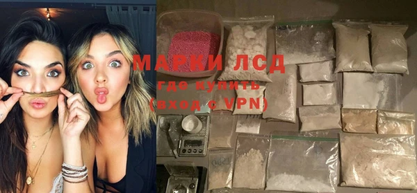 ГАЛЛЮЦИНОГЕННЫЕ ГРИБЫ Михайлов