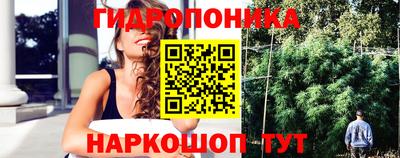дживик Ирбит