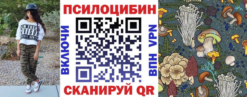 Галлюциногенные грибы MAGIC MUSHROOMS Фрязино