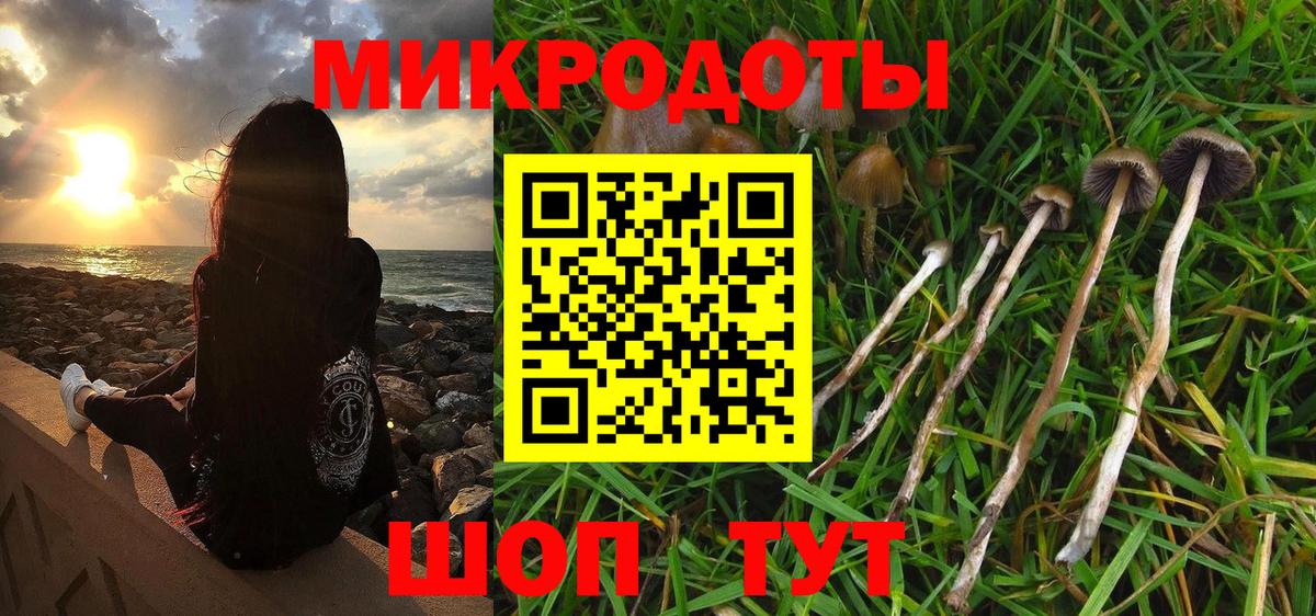 Галлюциногенные грибы мицелий Фрязино