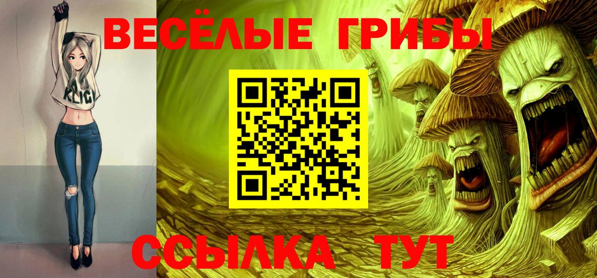 Псилоцибиновые грибы Psilocybine cubensis  Вход с VPN  Фрязино  Псилоцибиновые грибы мицелий 